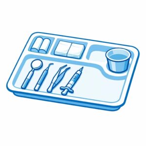 سینی یکبار مصرف ضخیم ۷۰۰ گرم